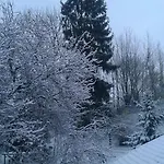 Au Grand Sapin *