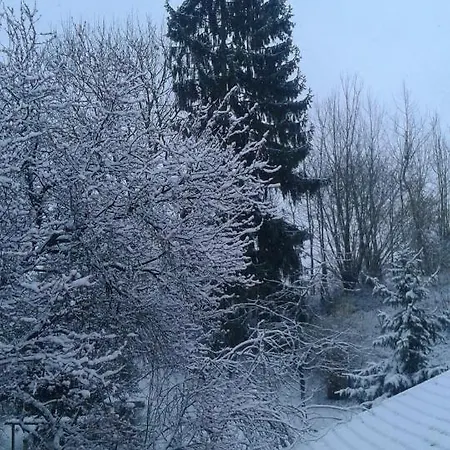 Au Grand Sapin *