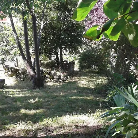 Au Grand Sapin * Henonville