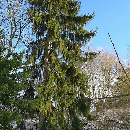Au Grand Sapin
