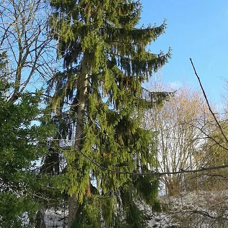 Au Grand Sapin