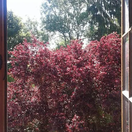 Au Grand Sapin Accommodatie bij particulieren *