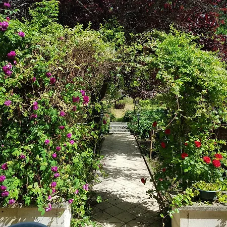 Au Grand Sapin * Henonville